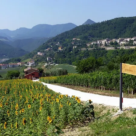 Апартаменты Le Grazie Serra San Quirico